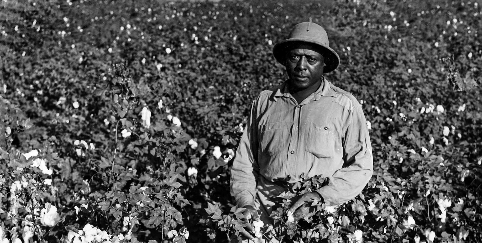 אַן אַפֿראָ־אַמעריקאַנער אַרבעטער אין אַ באַנוול־פֿעלד, בערך 1940