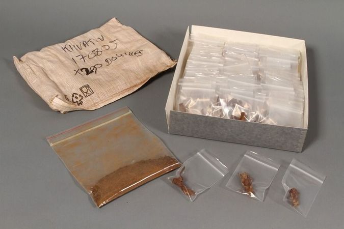 Discharged German bullet casings found near a mass execution site in Khvativ, Ukraine.