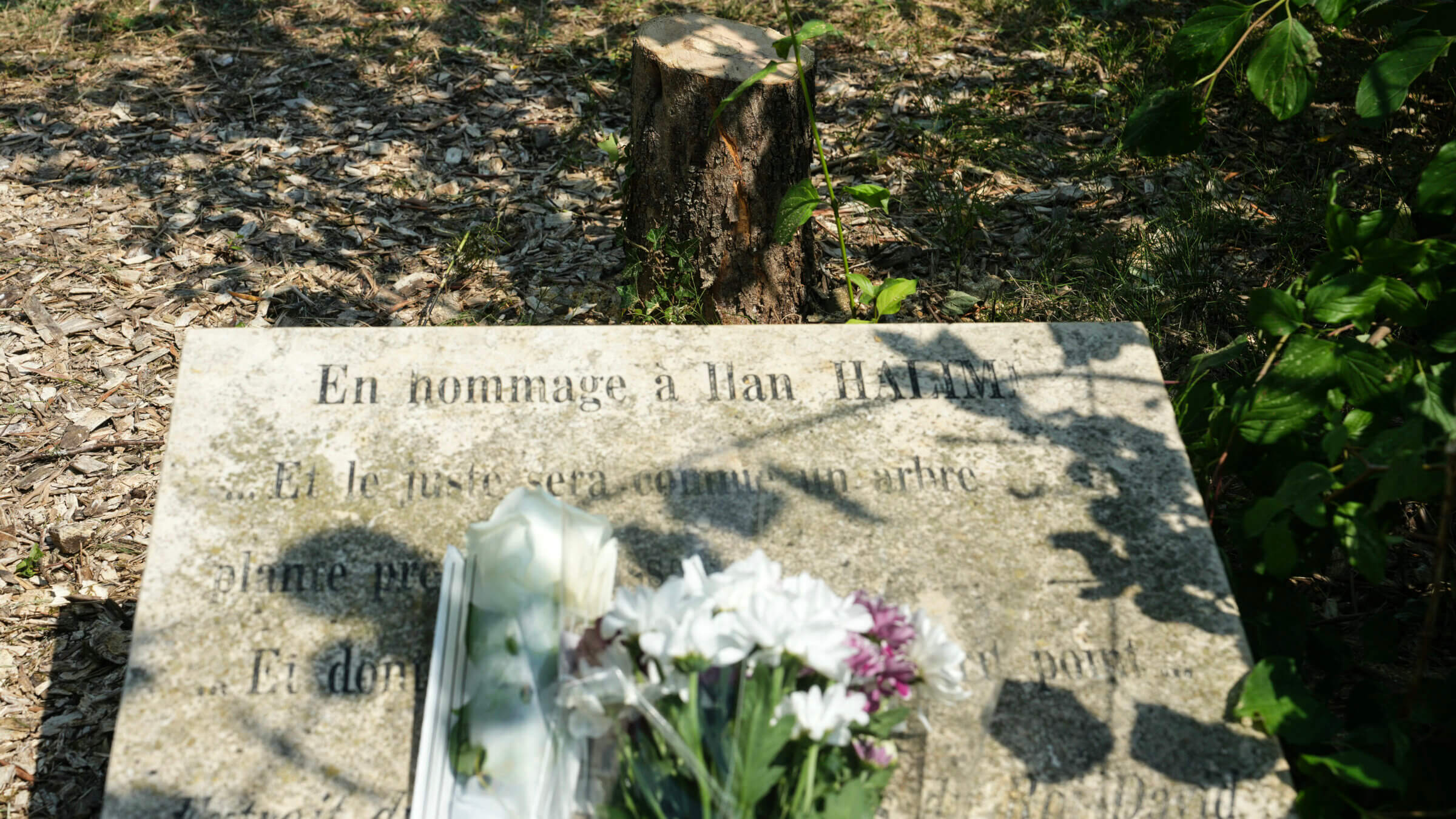 The vandalized memorial of Ilan Halimi, a young French Jew who was kidnapped and tortured to death in 2006.