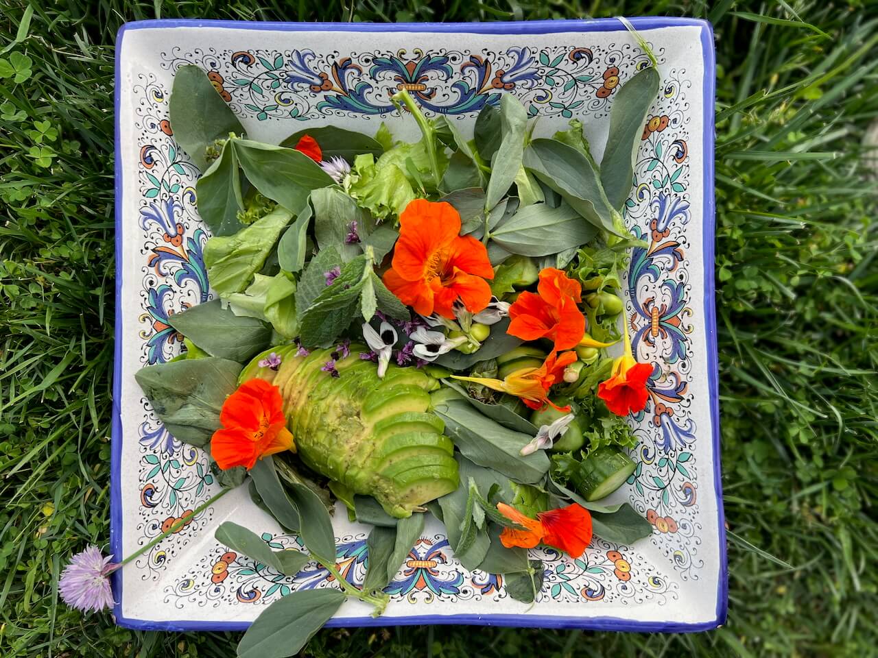 A Passover salad with nasturtium, wild and homegrown green and herbs and avocado.