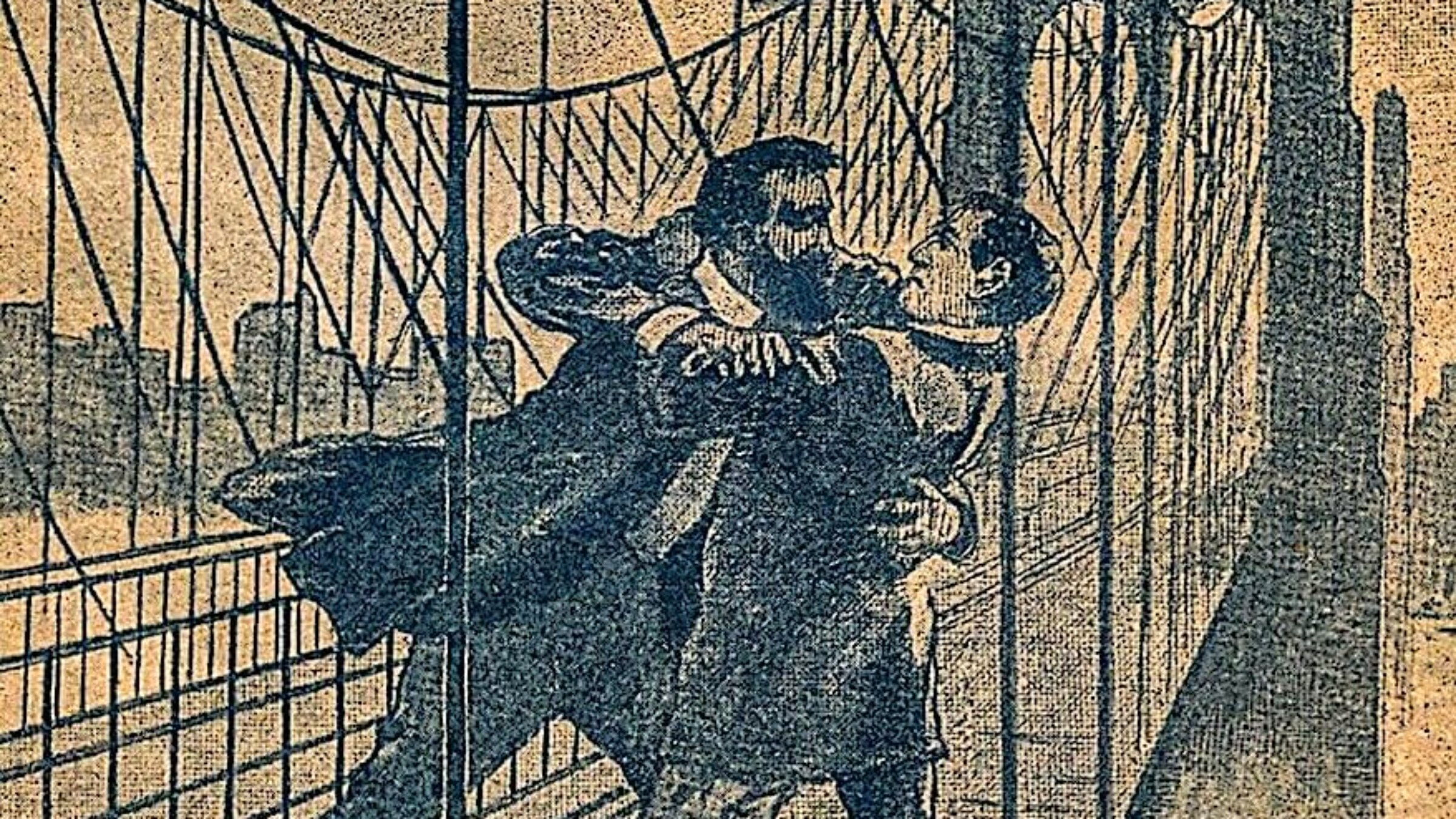 אַ טייל פֿון דער הילע פֿונעם בוך וועגן די אַוואַנטורעס פֿון מאַקס שפּיצקאָפּף