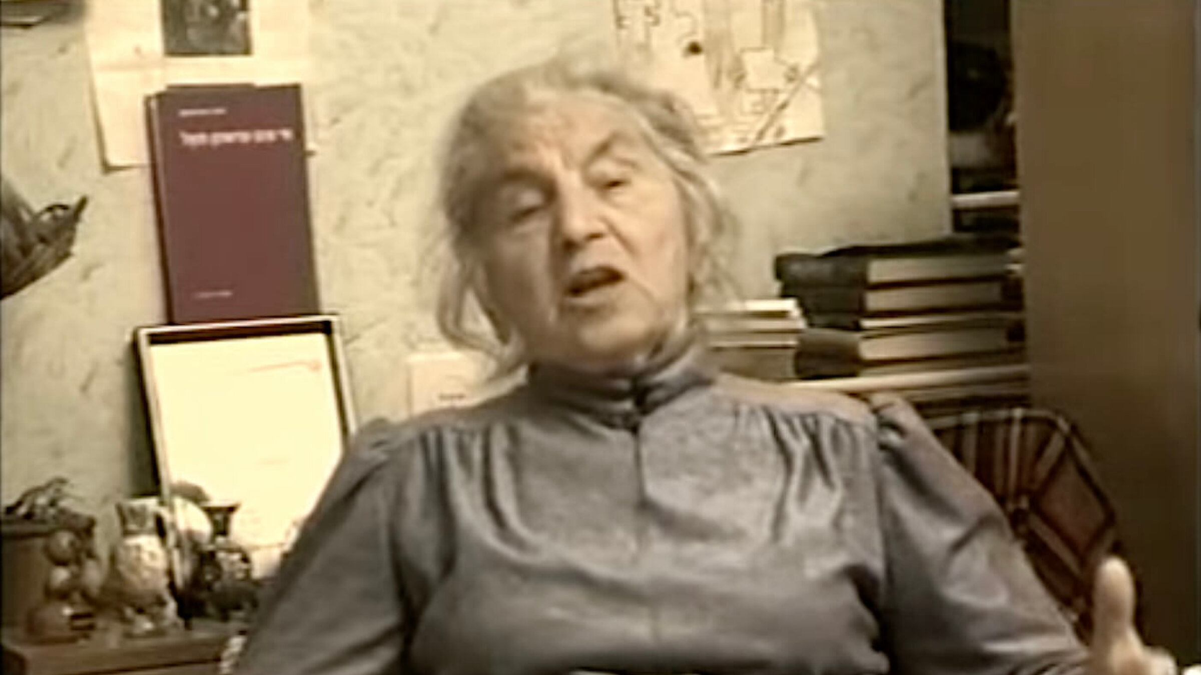 די שרײַבערין שירה גאָרשמאַן, אין אַ קאַפּיטל פֿון דער ווידעאָ־סעריע „מאָנאָלאָגן פֿון ייִדישע שרײַבער“, 2017